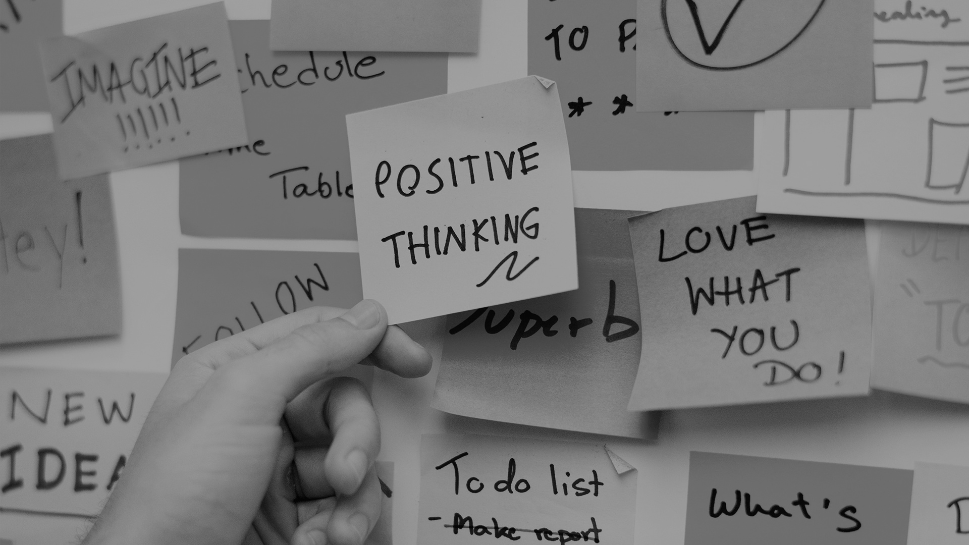 Planificamos, creamos y comunicamos